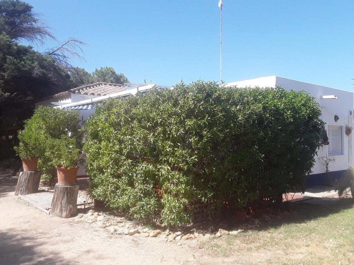 En Finca Las Dunas Dos Chalets Con Jacuzzis En Primera Linea De Playa , Uno De 4 Dormitorios Y Otro De 2 Dormitorios, Llama Al Seiscientos Veintisiete Cuatrocientos Diecisiete Trescientos Noventa Y Ocho Rota Exteriör bild