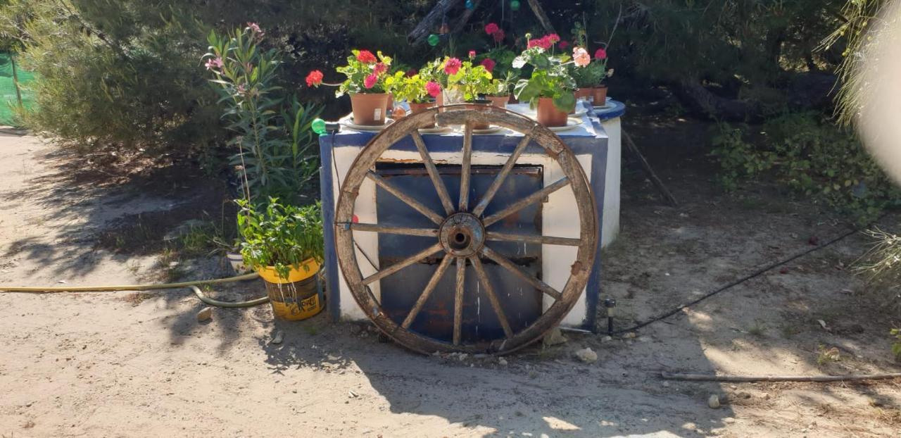 En Finca Las Dunas Dos Chalets Con Jacuzzis En Primera Linea De Playa , Uno De 4 Dormitorios Y Otro De 2 Dormitorios, Llama Al Seiscientos Veintisiete Cuatrocientos Diecisiete Trescientos Noventa Y Ocho Rota Exteriör bild