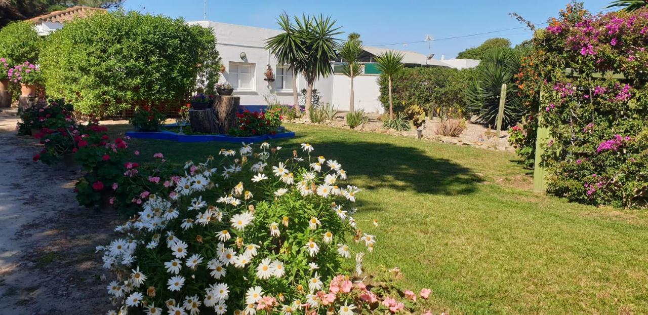 En Finca Las Dunas Dos Chalets Con Jacuzzis En Primera Linea De Playa , Uno De 4 Dormitorios Y Otro De 2 Dormitorios, Llama Al Seiscientos Veintisiete Cuatrocientos Diecisiete Trescientos Noventa Y Ocho Rota Exteriör bild