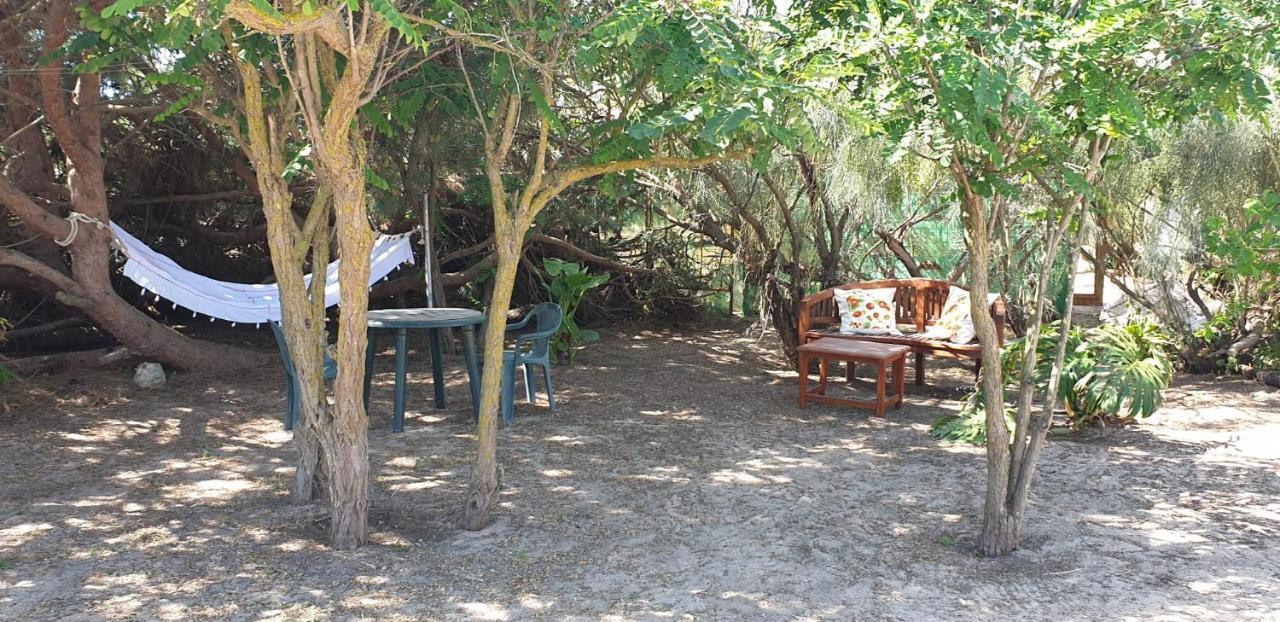 En Finca Las Dunas Dos Chalets Con Jacuzzis En Primera Linea De Playa , Uno De 4 Dormitorios Y Otro De 2 Dormitorios, Llama Al Seiscientos Veintisiete Cuatrocientos Diecisiete Trescientos Noventa Y Ocho Rota Exteriör bild