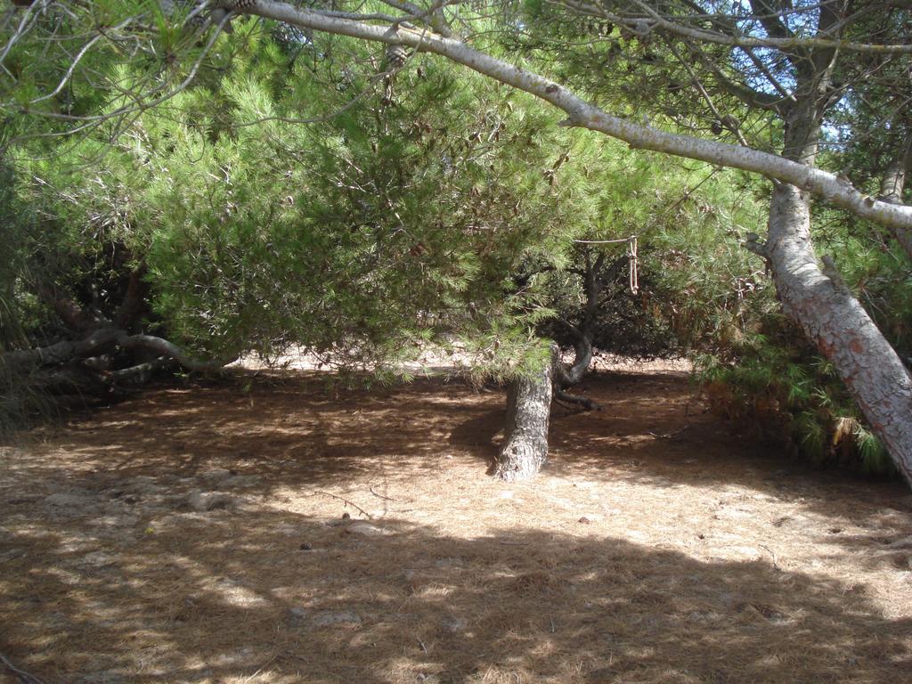 Finca Las Dunas Con Dos Chalets Con Jacuzzis En Primera Linea De Playa Uno De 4 Dormitorios Y Otro De 2 Dormitorios Rota Rum bild