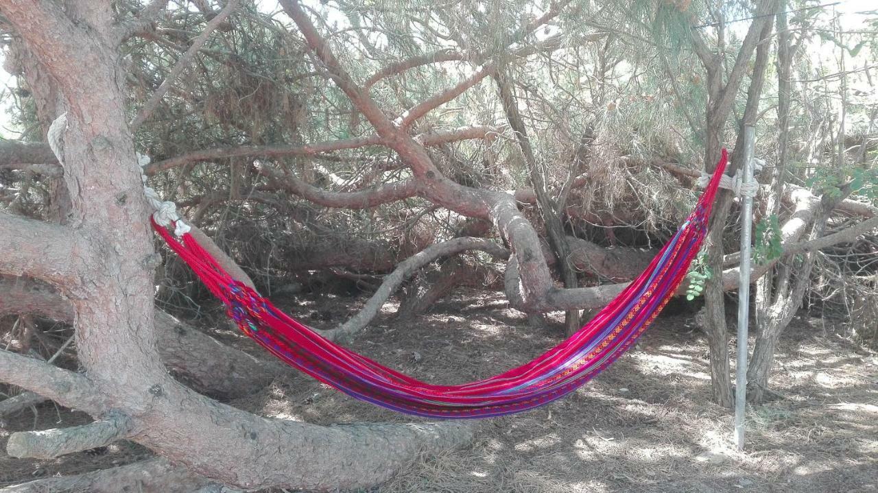 En Finca Las Dunas Dos Chalets Con Jacuzzis En Primera Linea De Playa , Uno De 4 Dormitorios Y Otro De 2 Dormitorios, Llama Al Seiscientos Veintisiete Cuatrocientos Diecisiete Trescientos Noventa Y Ocho Rota Exteriör bild