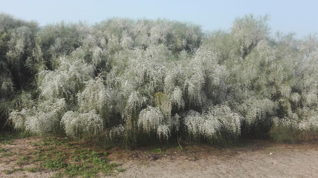 En Finca Las Dunas Dos Chalets Con Jacuzzis En Primera Linea De Playa , Uno De 4 Dormitorios Y Otro De 2 Dormitorios, Llama Al Seiscientos Veintisiete Cuatrocientos Diecisiete Trescientos Noventa Y Ocho Rota Exteriör bild